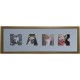 Named Mount with Frame (2-9 letters)