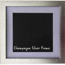 Custom Frame and Mount (upto 510x510mm)